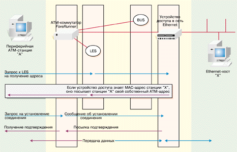 Picture 3a